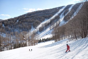 Minutes to Plattekill Mountain