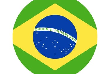 Bandera Brasil Bar El Tambucho Jerez