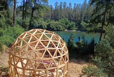 Estructura geodésica de madera DOMOS NOVA en entorno natural