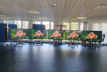 interactive screens