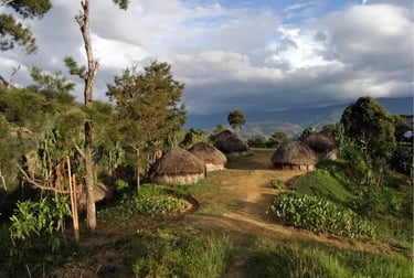 Traditional thatched round huts in a remote Papua New Guinea village nestled in lush green mountains.