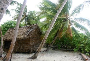 Traditional thatched beach hut nestled among tropical palm trees on a white sand island shore.