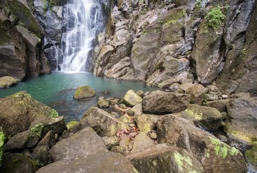 A scenic tropical waterfall cascading into a turquoise pool surrounded by mossy rocks and a dark stone cliff.