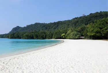 Pristine white sand beach at Champagne Bay with turquoise water and lush tropical jungle in Vanuatu.