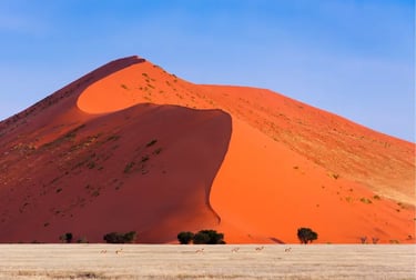 Springbok grazing on a dry plain below a massive red sand dune in Namibia's Namib Desert.