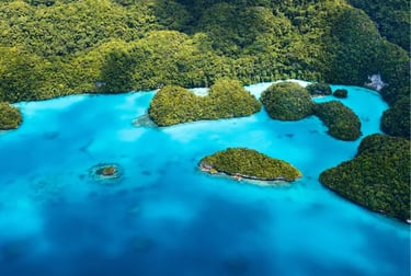 Aerial view of lush green tropical islands surrounded by vibrant turquoise ocean water in Palau.