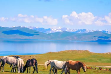 Wild horses grazing in a green meadow near a mountain lake with snow-capped peaks in the background.