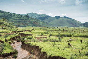 Paisaje rural en Burundi