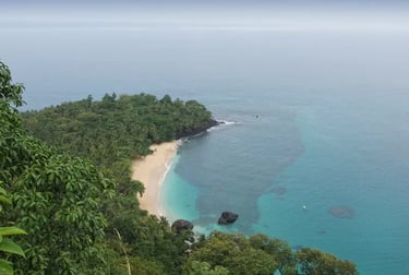 Aerial view of a secluded tropical beach with turquoise water and lush green jungle palm trees.