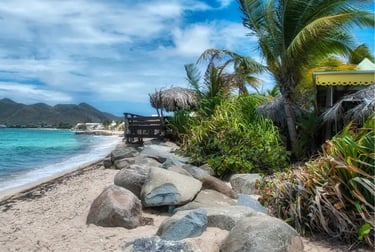 Tropical beach with palm trees, large rocks on the sand, and turquoise ocean water under a blue sky.