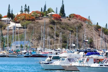 Sailboats and motorboats moored in a tropical harbor with red flowering trees and coastal homes.