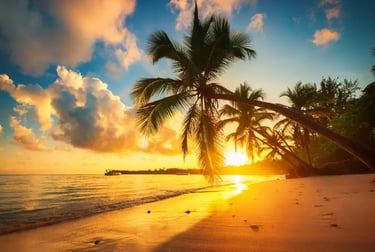 Golden sunset over a tropical beach with silhouetted palm trees leaning over the ocean waves.
