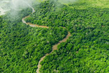 Río Congo rodeado de bosque