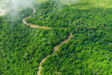 Aerial view of a winding brown river flowing through a lush green tropical rainforest canopy.