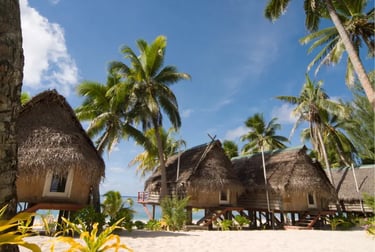 Tropical beach resort with thatched roof bungalows nestled among palm trees on white sand.