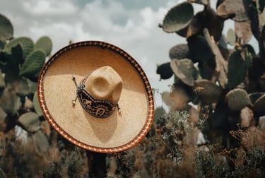 Traditional Mexican straw sombrero resting on a cactus in a desert landscape with prickly pear plants.