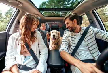 vacances avec son chien