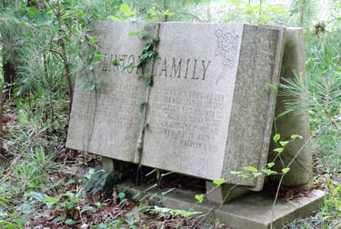 Myrtle Vivian Linton (December 25th, 1882-October 17th, 1885)