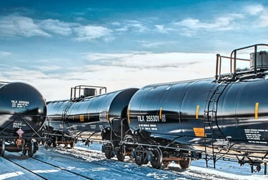 System for diagnosing of dangerous cargo