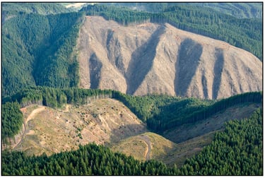 Photo of a clear cut in Oregon state in the US