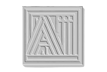 VPAI Logo