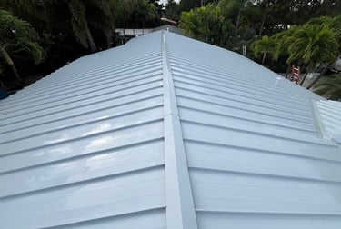 metal roof soft washing broward county fl 