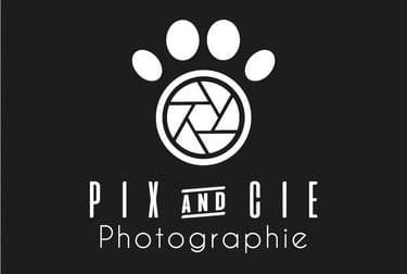 logo-pixetcie-strasdog