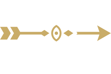 signe fovassist : flèche et oeil