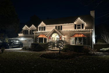 Professional Holiday Lighting