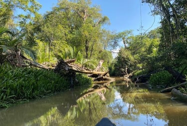 Thailand takua pa the little amazon