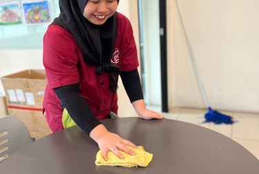 iccs cleaning solution