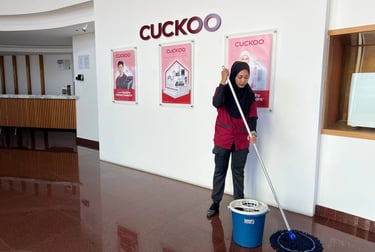 iccs cleaning solution
