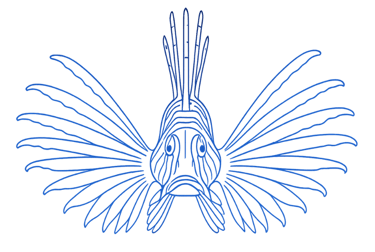 Caribbean lionfish grows faster, get bigger and possibly live longer
