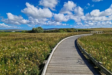 Orkney