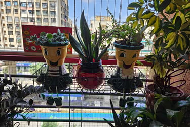 tingu planter and emoji planter - plastic planters