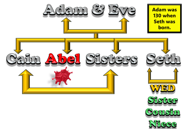 Cain murdered Abel in this Adam and Eve family tree