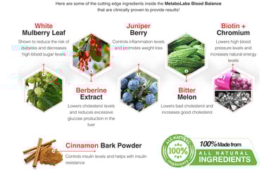 MetaboLabs Blood Balance Ingredients