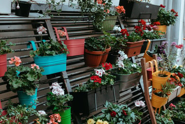 Vertical plant stand. Budget-friendly gardening