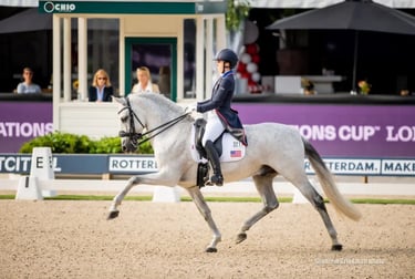 Dressage rider on a grey spanish horse in medium trot
