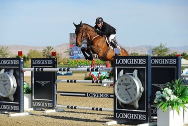Rider Will Simpson jumping a large vertical on a large bay horse