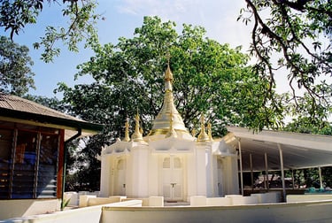 IMC Yangon