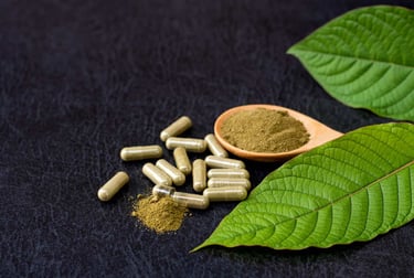 Natural kratom capsules and herbal powder on a spoon with fresh green Mitragyna speciosa leaves.
