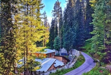 Nathiagali picture showing few rest houses and a road
