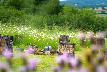 a bottle of wine in a field with flowers