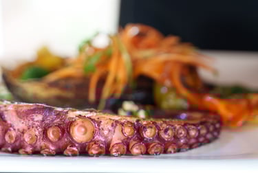a octopus octopus octopus octopus octopus octopus octopus octopus octopus octopus octopus octopus octopus octopus octopus