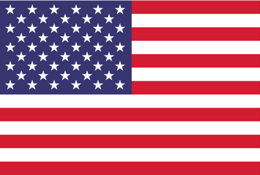 the flag of the united states of america