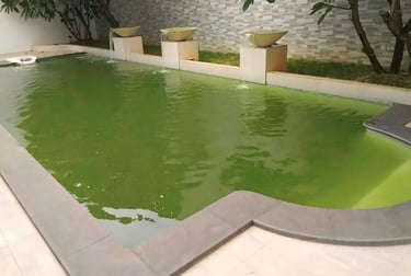 kolam renang dengan air yang keruh