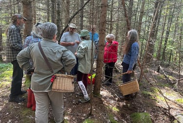 Renaud anime une journée mycologique à Sainte Anne du Lac.