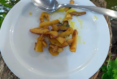 Dégustation de champignons en forêt