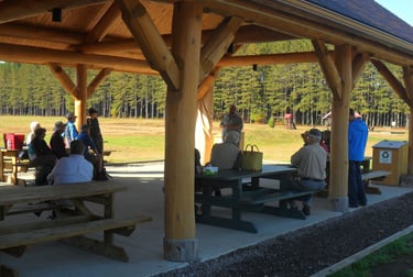 Groupe de cueillette de champignons en montagne sous un abri en bois rond